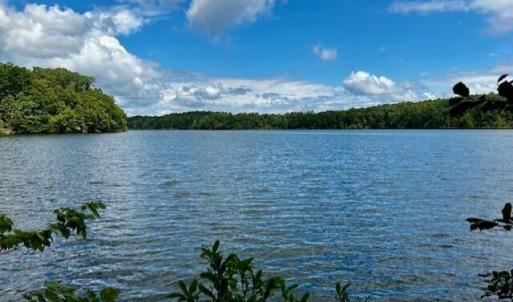 LOT 3 GRAPEVINE DR-VIEW FROM LOT 2