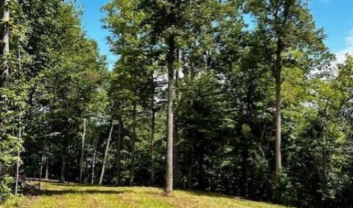 LOT 3 GRAPEVINE DR-CLEARED AREA