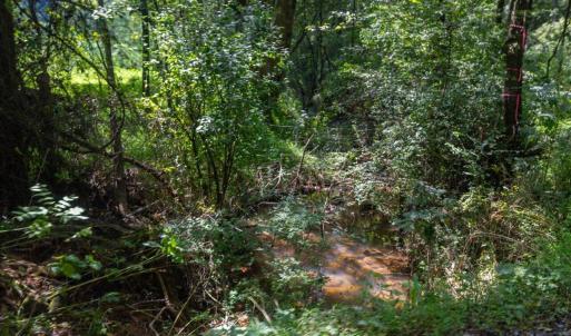 14-014-0ElmerKeckRd-20250815