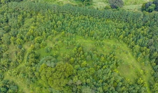 19-019-0ElmerKeckRd-20250815