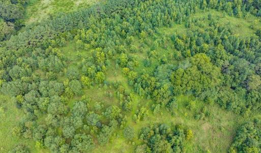 20-020-0ElmerKeckRd-20250815