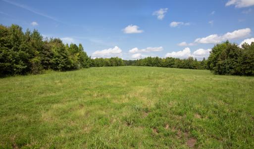 Weadon Road 8