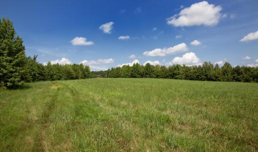 Weadon Road 7