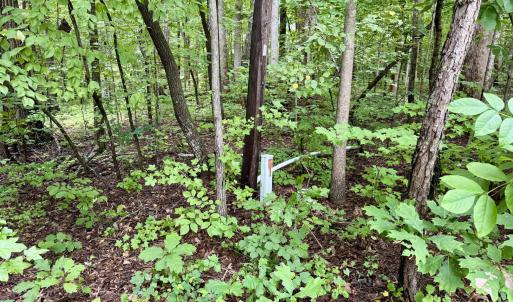 Telephone pedastol - Old NC 86