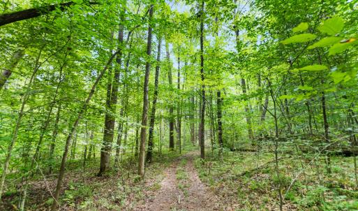 1312 Chigger Ridge Road-20