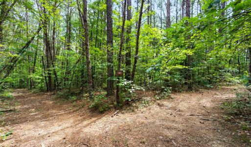 1312 Chigger Ridge Road-21