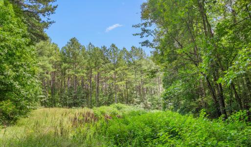 1312 Chigger Ridge Road-22