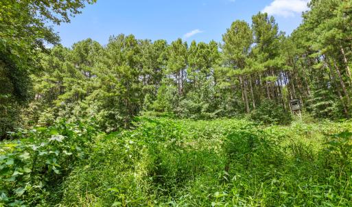 1312 Chigger Ridge Road-24