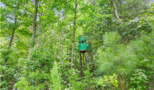 1312 Chigger Ridge Road-16