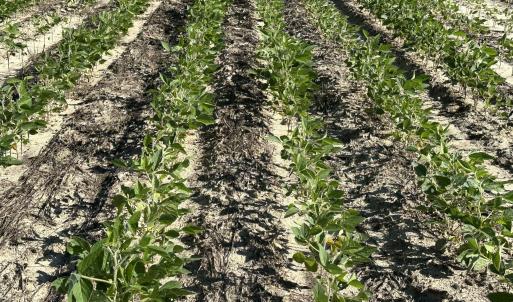 Farming