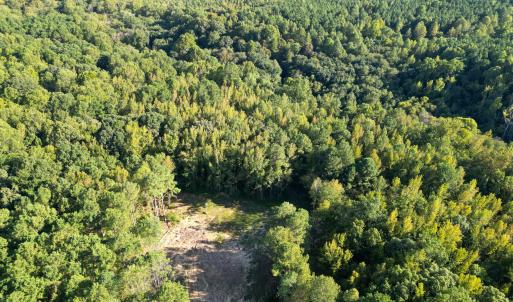 DJI_0151