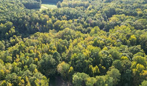 DJI_0144 (1)