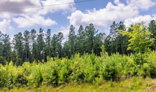 19-019-ChickenBridgeRoad-TractA-20250815