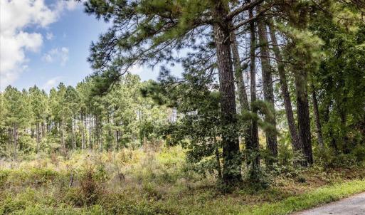 12-012-TractB-20250815