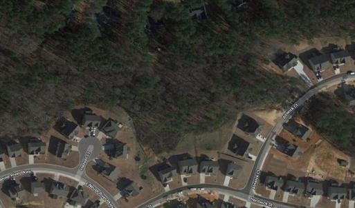 Satellite image