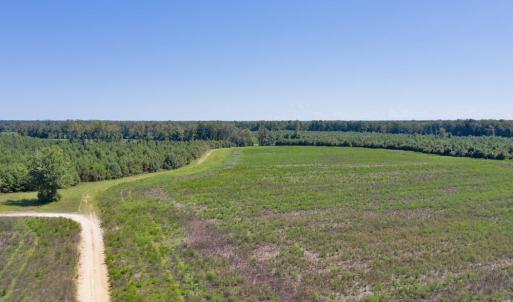 DJI_0588