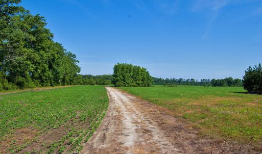 Photo #44 of Nc Highway 33, Tarboro, NC 683.1 acres