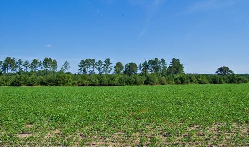 Photo #19 of Nc Highway 33, Tarboro, NC 683.1 acres