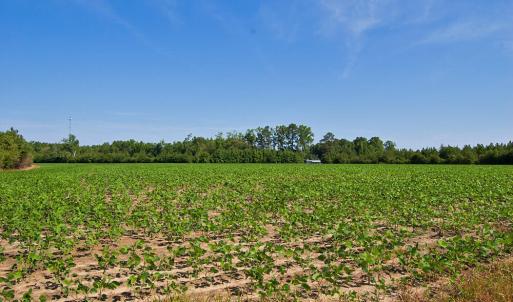 Photo #82 of Nc Highway 33, Tarboro, NC 683.1 acres