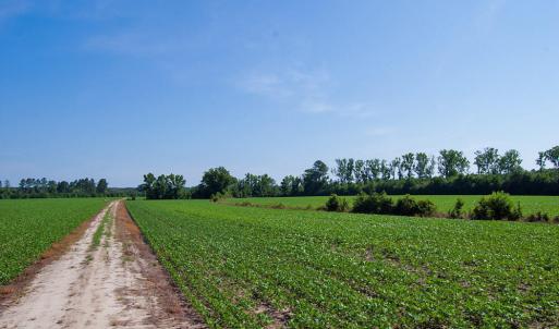 Photo #58 of Nc Highway 33, Tarboro, NC 683.1 acres