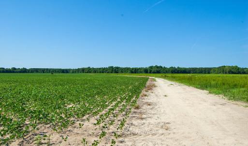 Photo #68 of Nc Highway 33, Tarboro, NC 683.1 acres