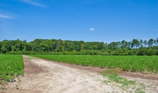 Photo #13 of Nc Highway 33, Tarboro, NC 683.1 acres