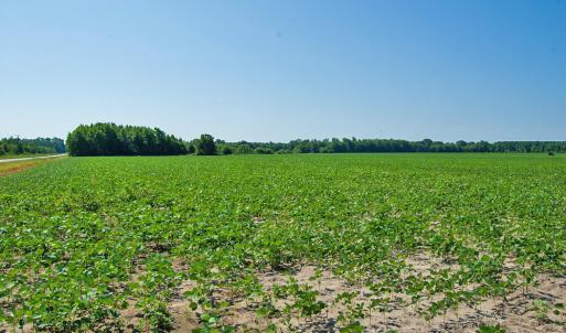 Photo #99 of Nc Highway 33, Tarboro, NC 683.1 acres