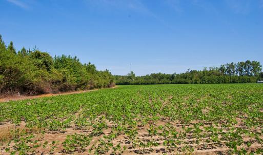 Photo #42 of Nc Highway 33, Tarboro, NC 683.1 acres