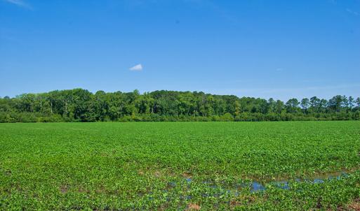 Photo #48 of Nc Highway 33, Tarboro, NC 683.1 acres