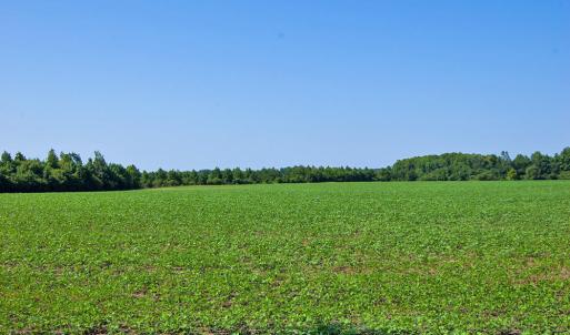 Photo #75 of Nc Highway 33, Tarboro, NC 683.1 acres