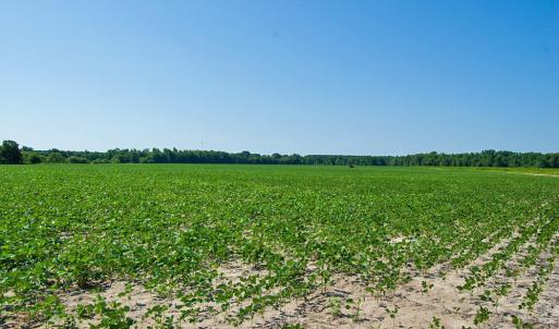 Photo #79 of Nc Highway 33, Tarboro, NC 683.1 acres