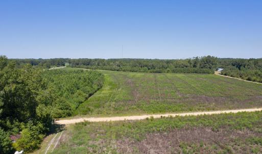 DJI_0561