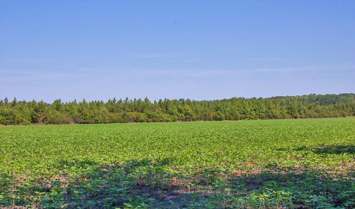 Photo #98 of Nc Highway 33, Tarboro, NC 683.1 acres