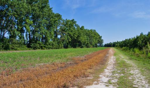 Photo #62 of Nc Highway 33, Tarboro, NC 683.1 acres