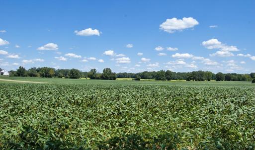 DSC_0790