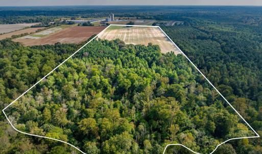 DJI_20250917164434_0462_D - Outline