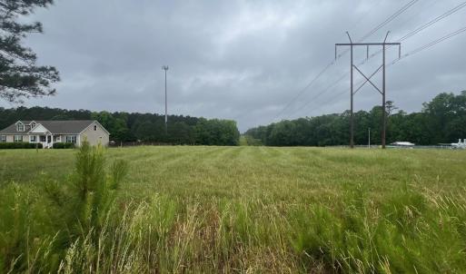 Pasture