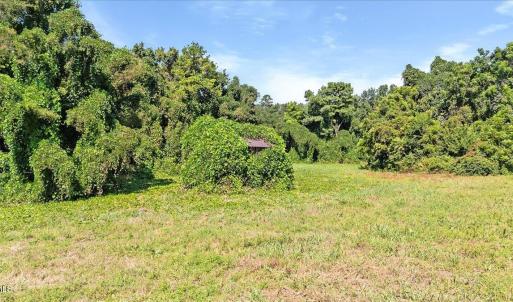 06-finished Martin Rd (13 of 18)