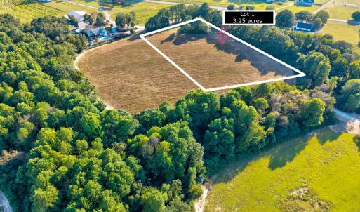 14-Mockingbird Ln-59