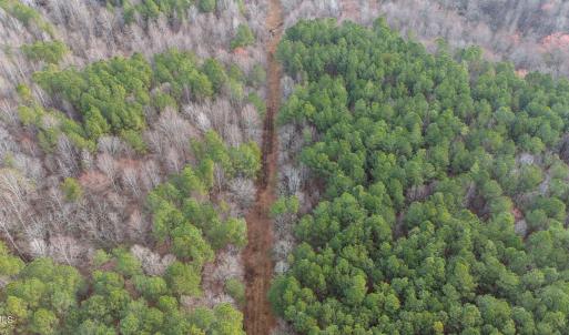 14-web-or-mls-DJI_20250304084210_0040_D