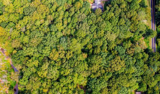 8-web-or-mls-1455 Dimmocks Mill (4 of 7)