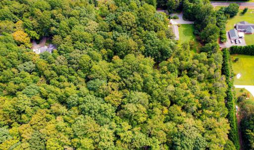 12-web-or-mls-1455 Dimmocks Mill (6 of 7