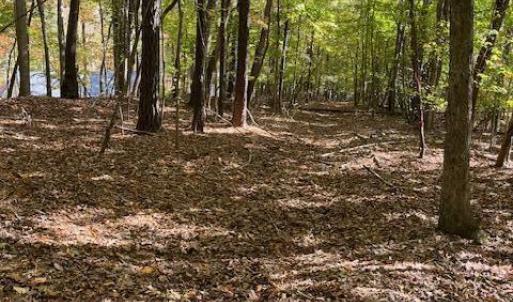 234 Hillcrest Lane Photo 1