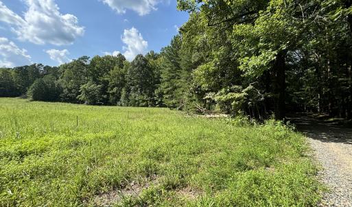 meadow