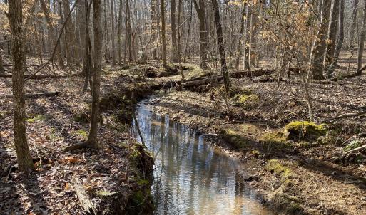 stream winter