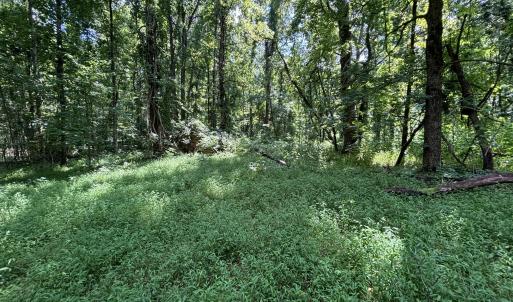 old homesite