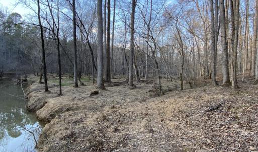 Buckwater Crk banks winter