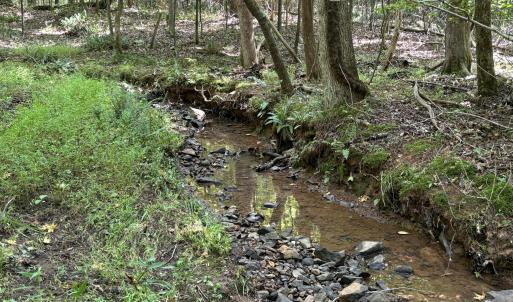 stream