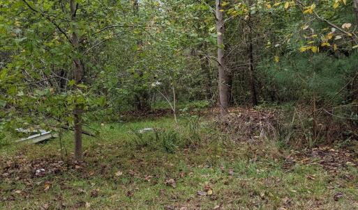 PXL_20251010_170623382