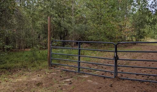 PXL_20251010_170703530